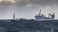 Norwegian Pelagic Sector Sees Record Growth in 2024