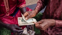 Nigerian Central Bank Resumes Intervention Amid Naira Weakness