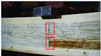 Figure 1. Cross sections of five-layer CLP and CLT in the length...