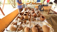 News - Pottery Offers Clues to Prehistoric Honey Hunting in West Africa