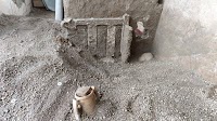 By Shoving a Bed Frame Against the Door, This Pompeii Family Tried to Survive Mount Vesuvius' Eruption