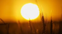 Normal summer conditions forecast countrywide - JMD