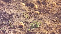 SEK ‘farm to fork’ grant: “A lifeline at a time when so many are choosing between heating and eating”