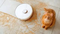5 best cheap robot vacuums in UAE, for 2024