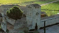 Miguel Torres Maczassek – the Global Winemaker
