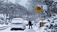GTA digs out after winter storm shutters schools, causes transit delays