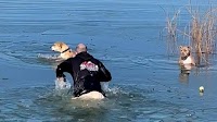 Video shows man rescuing two dogs from frigid lake: 'We had to get them'