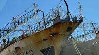 Chinese fleets exploiting “previously unknown” squid fishery