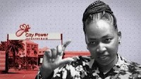 R335 million wasted on BIC pens, mops, and air fresheners