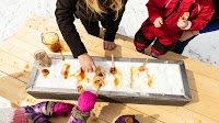 Maple Weekend 2025: Head to Maple Bushes Across Ontario This Weekend For Sweetest Celebrations