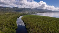 TUI Care Foundation Unleashes Pioneering Mangrove Restoration Projects in Mauritius and the Dominican Republic to Reinforce Coastal Resilience and Defy Climate Change