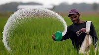 Rabi season, polls ahead: fertiliser stocks deplete after dip in imports