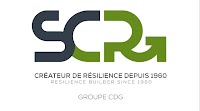SCR: share capital increase