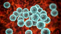 STD cases hit record high for fifth year running, as prevention efforts hit by budget cuts