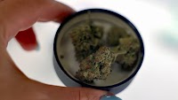 Legal effort to shut new CNY cannabis shop put on hold as sides seek settlement
