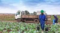 AFN Africa: Investing in knowledge & information to accelerate innovation in African agriculture