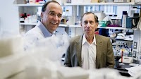 Major step for implantable drug-delivery device