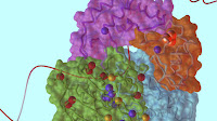 Research News: The Structure of XPD Sheds Light on Cancer and Aging
