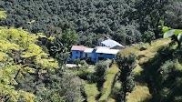 The murder that shook a mountain