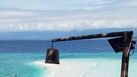 'Taklobo' worth P25 million seized in Oslob