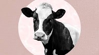 Beef Tallow Skin Care Is All Over TikTok — but Is It Safe?