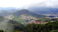 13 trees uprooted, temperature dips amidst rain; Ooty closed for tourists