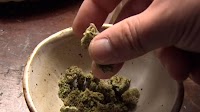 Cannabis consumption lounges coming next