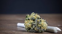 82 kg of cannabis seized in Dakar