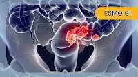 Subgroup Analysis Supports Encorafenib Plus Cetuximab/mFOLFOX6 as New SOC for BRAF V600E+ mCRC