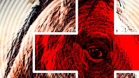 Horse medicine for humans? NZ breakthrough could revolutionise wound treatment