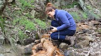 Jarosite: a golden sponge to mop up metals