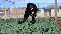 From surviving to thriving in a climate changing world