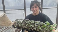 What's soil blocking? This seeding method helps gardeners use less plastic and peat