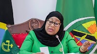 Tanzania Bans Use of US Dollars, Other Foreign Currencies for Local Transactions