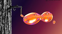 SYRUP Surges Following Upbit Listing, Defies Market Downtrend