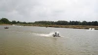 Malaysian shrimp farmgate prices surge due to high mortality rates