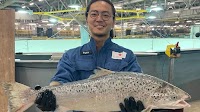 Japan-based RAS salmon farmer says it is achieving premium prices