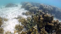 Honolulu’s lawsuit against fossil fuel companies leads climate change legal fight