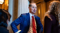 In Epstein Case, Follow the Money, Democratic Senator Says