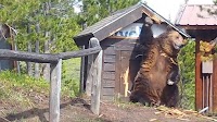 FWP highlights electric fencing to prevent human-bear conflicts
