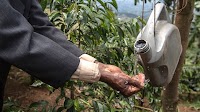 Food, Agriculture, and Water Focus of Day at COP 29