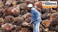 Explained: Indonesia’s palm oil crisis, and its implications for India