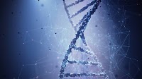 Myrtelle’s Canavan Disease Gene Therapy rAAV-Olig001-ASPA Decreases N-Acetylaspartate Levels in Phase 1/2 Study