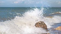 CSIR-NIO's study on microplastics reveals extent of pollution on Goa coast