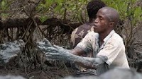 In Guinea-Bissau, Cash for Work helps farmers get back on their feet