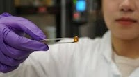 Biodegradable gel shows promise for cartilage regeneration