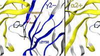 Different Benzodiazepines Bind with Distinct Binding Modes to GABAA Receptors