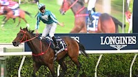 'The horse of a lifetime': James McDonald reacts to 'unbelievable' display from Romantic Warrior