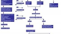 Low Back Pain and Sciatica: Overview, Pathophysiology, Characteristics of Pain-Sensitive Structures