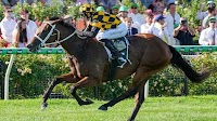 TJ Smith Stakes field and barriers